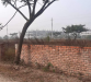 3 Katha Plot For Sale N Block Bashundhara Residential Area